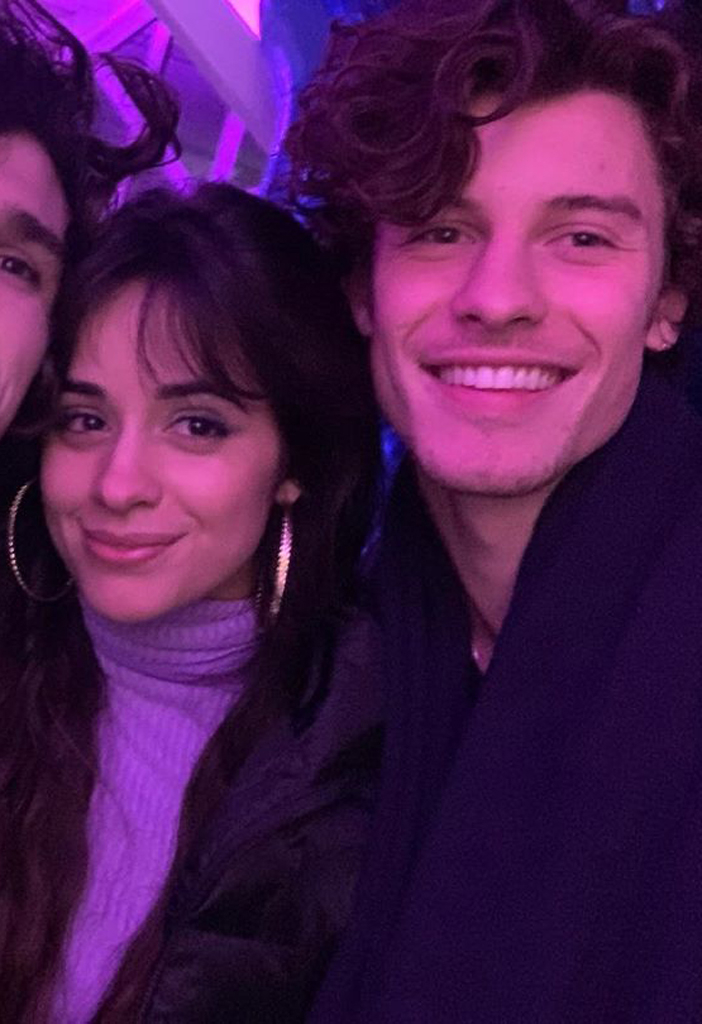 Camila Cabello, Shawn Mendes